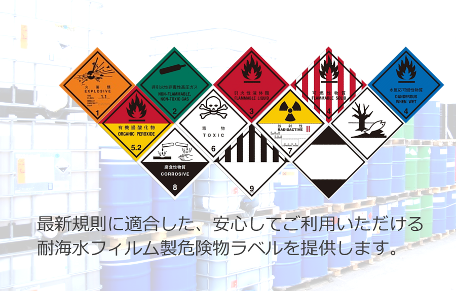 ラベルナコムラサキ/安徽省.金寨県産【標本】 標本